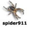 Awatar spider911